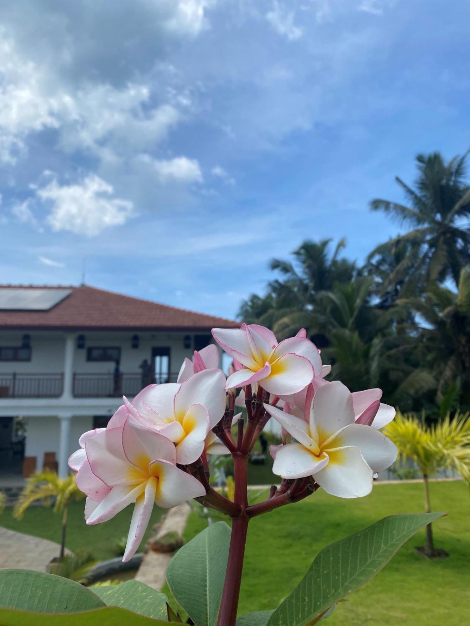 Sea Star Boutique Hotel 希克杜沃 外观 照片
